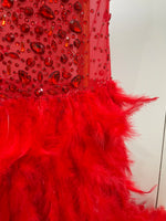 Load image into Gallery viewer, Show Off Gem Feather Dress
