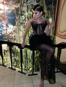 Black Swan Mesh Dress